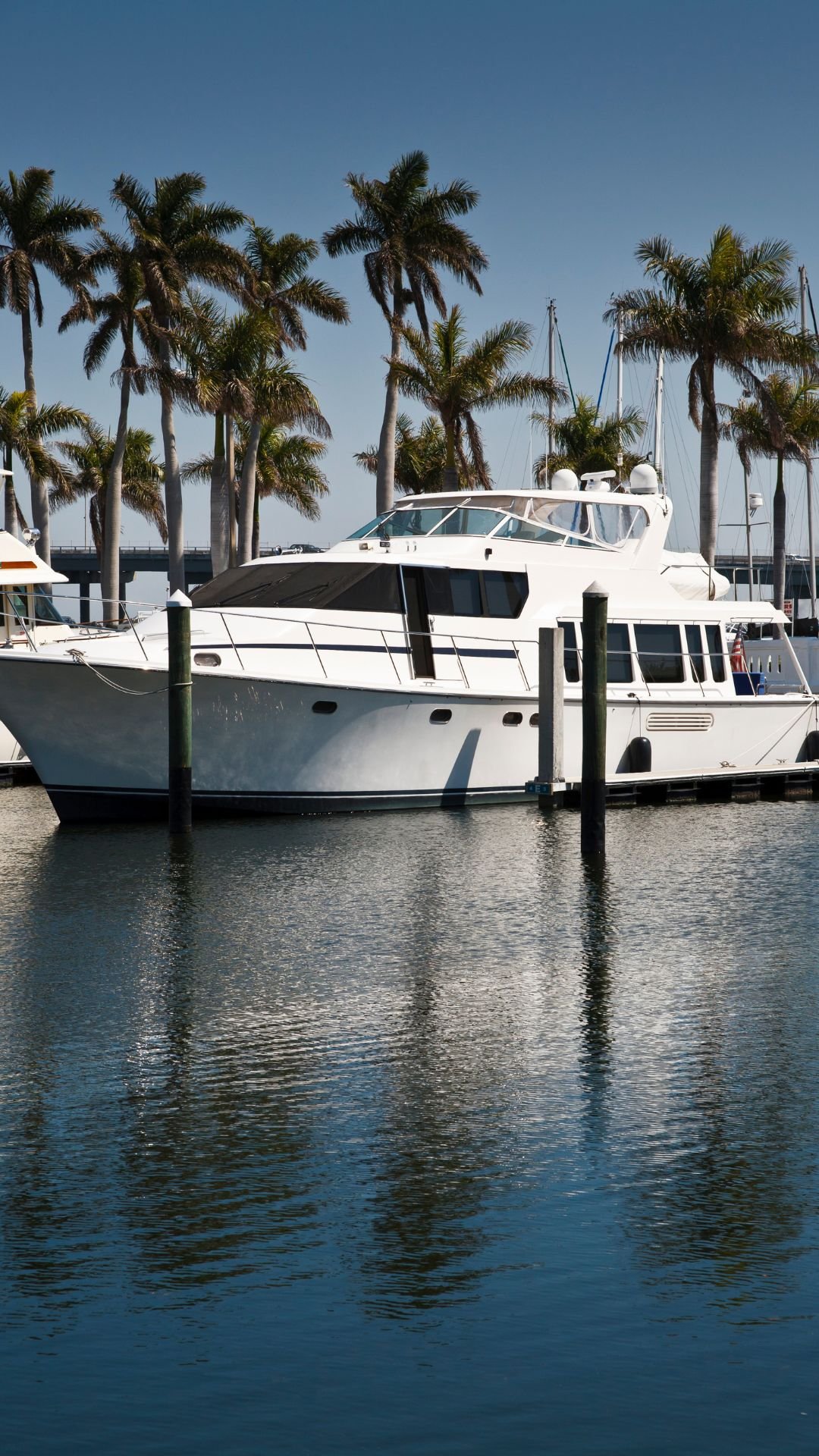 Motor yacht docked among tropical palms